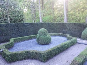 Aanleg voortuin Buxus hagen Basalt split