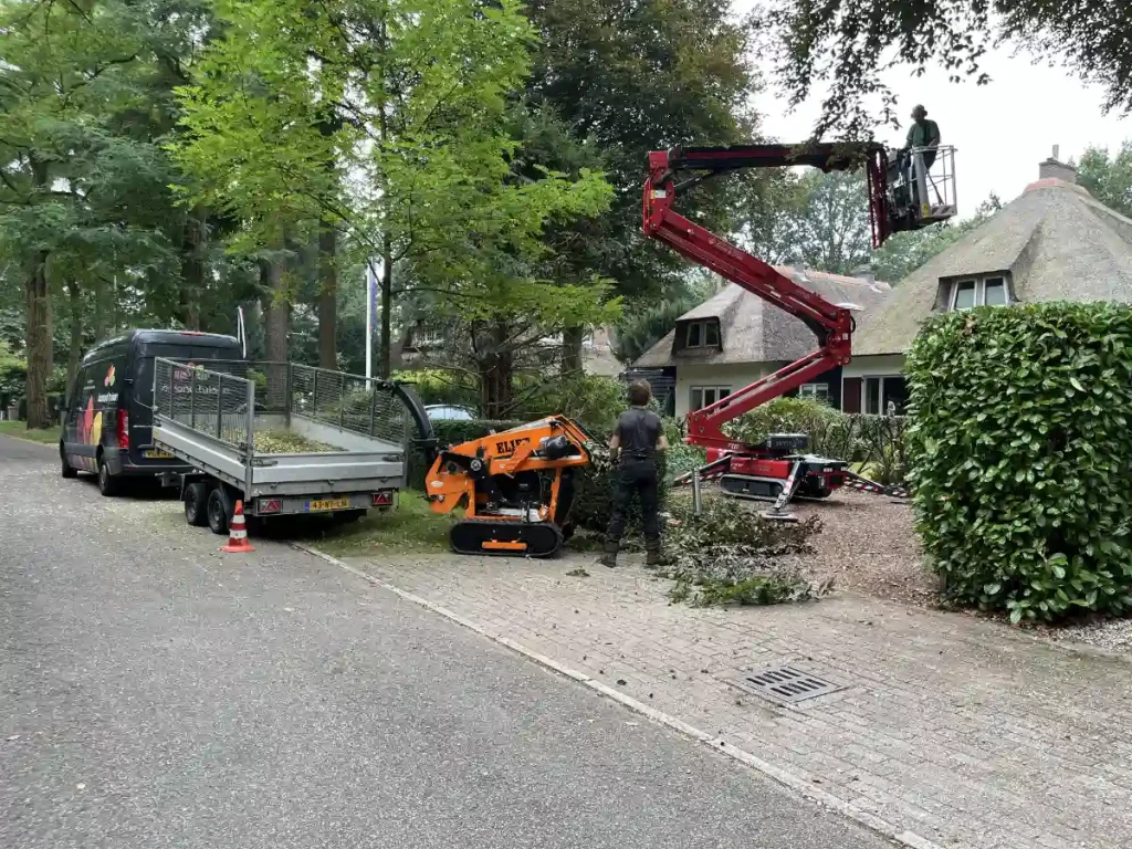 Boomverzorging Zeist